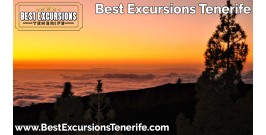Tenerife Stargazing Experience (With Dinner)